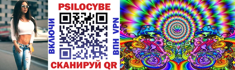 Псилоцибиновые грибы мицелий  купить закладку  Электросталь 